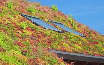 Papworth Everard living roof systems
