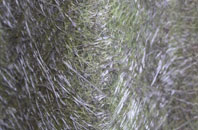 Papworth Everard fibreglass roof work